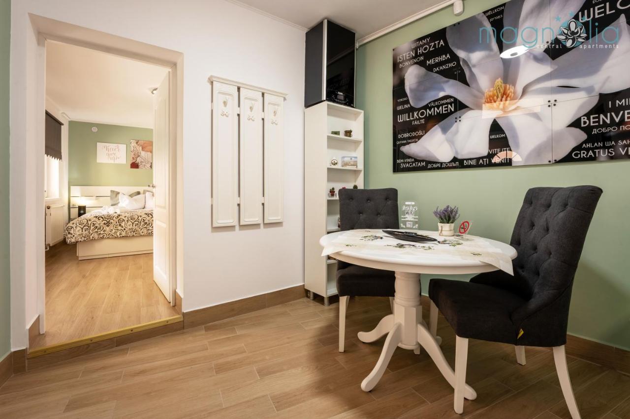 סיגישוארה Magnolia Central Apartment #1 מראה חיצוני תמונה