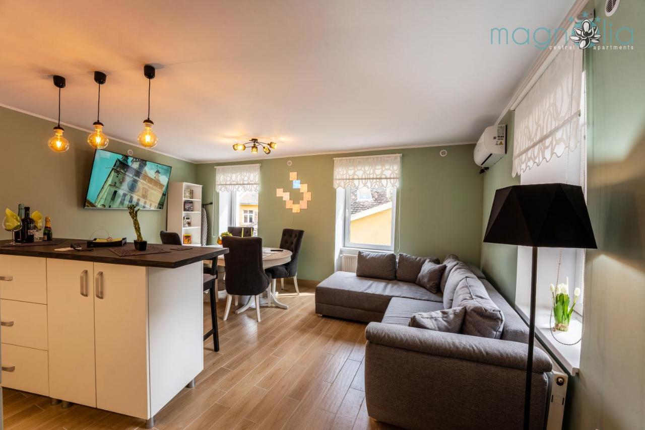 סיגישוארה Magnolia Central Apartment #1 מראה חיצוני תמונה