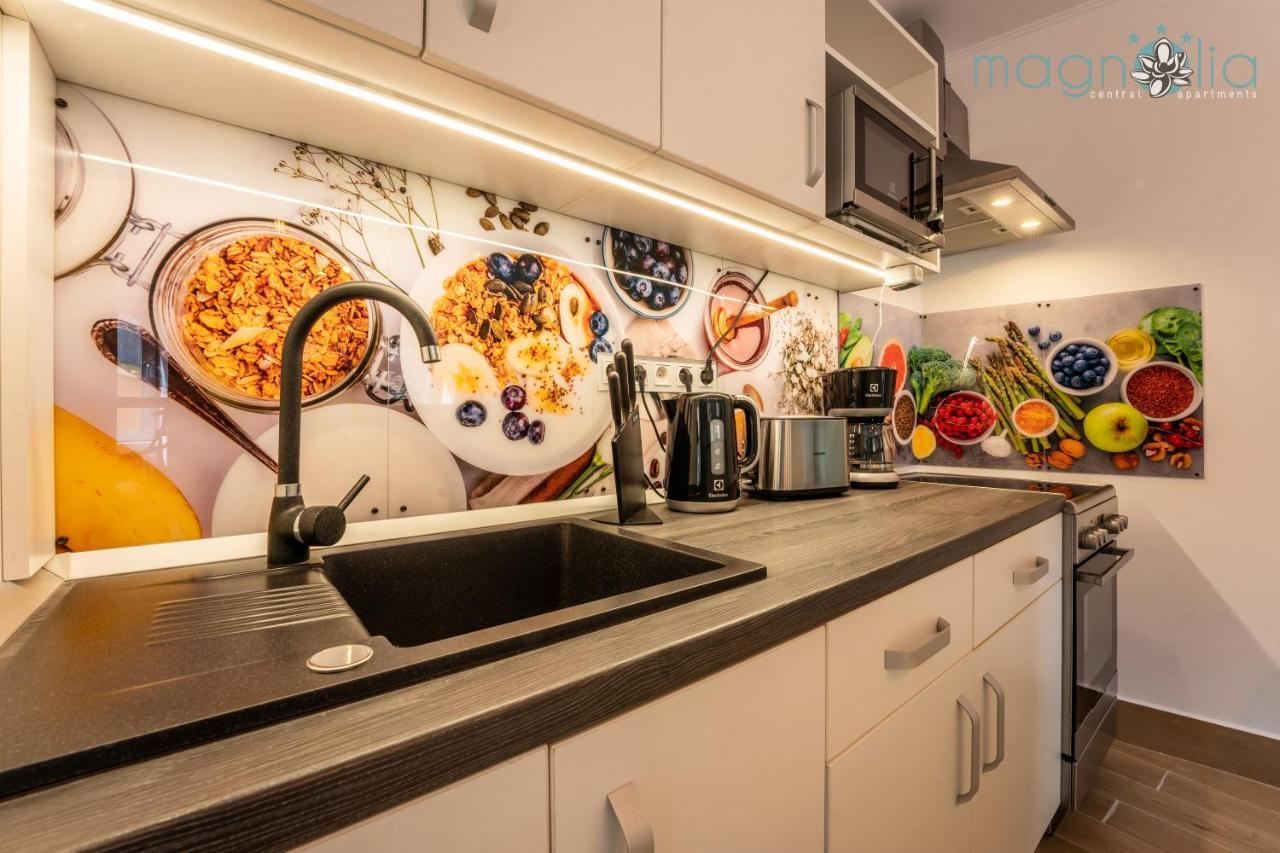 סיגישוארה Magnolia Central Apartment #1 מראה חיצוני תמונה