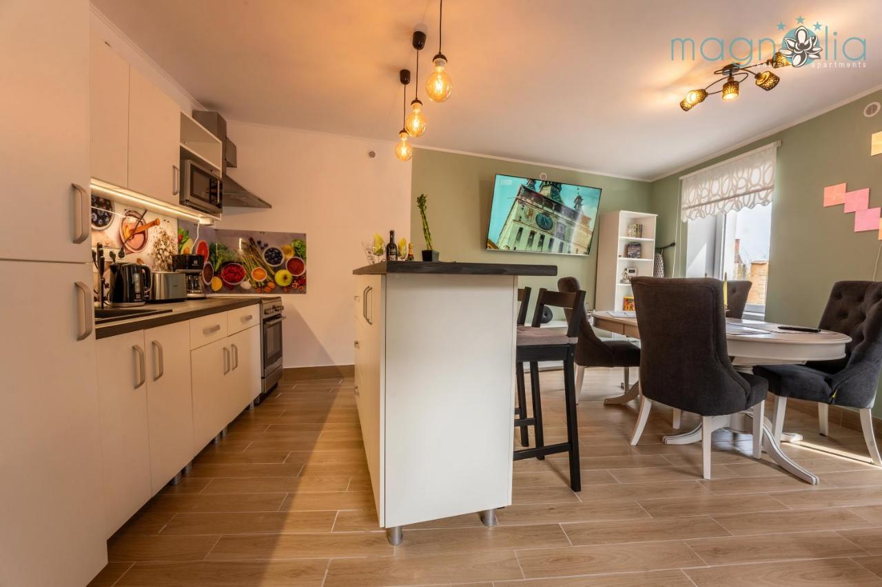 סיגישוארה Magnolia Central Apartment #1 מראה חיצוני תמונה
